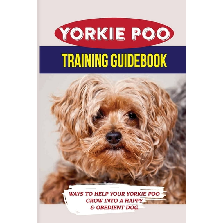 Yorkie Poo Training Guidebook Ways To Help Your Yorkie Poo Grow