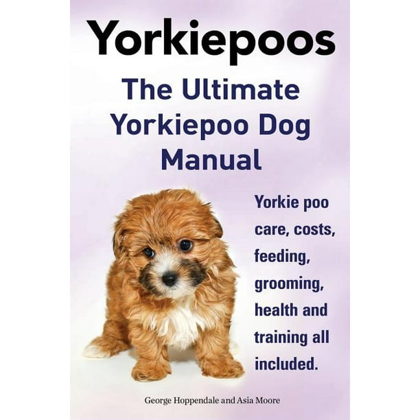 Yorkie Poos. the Ultimate Yorkie Poo Dog Manual. Yorkiepoo Care, Costs