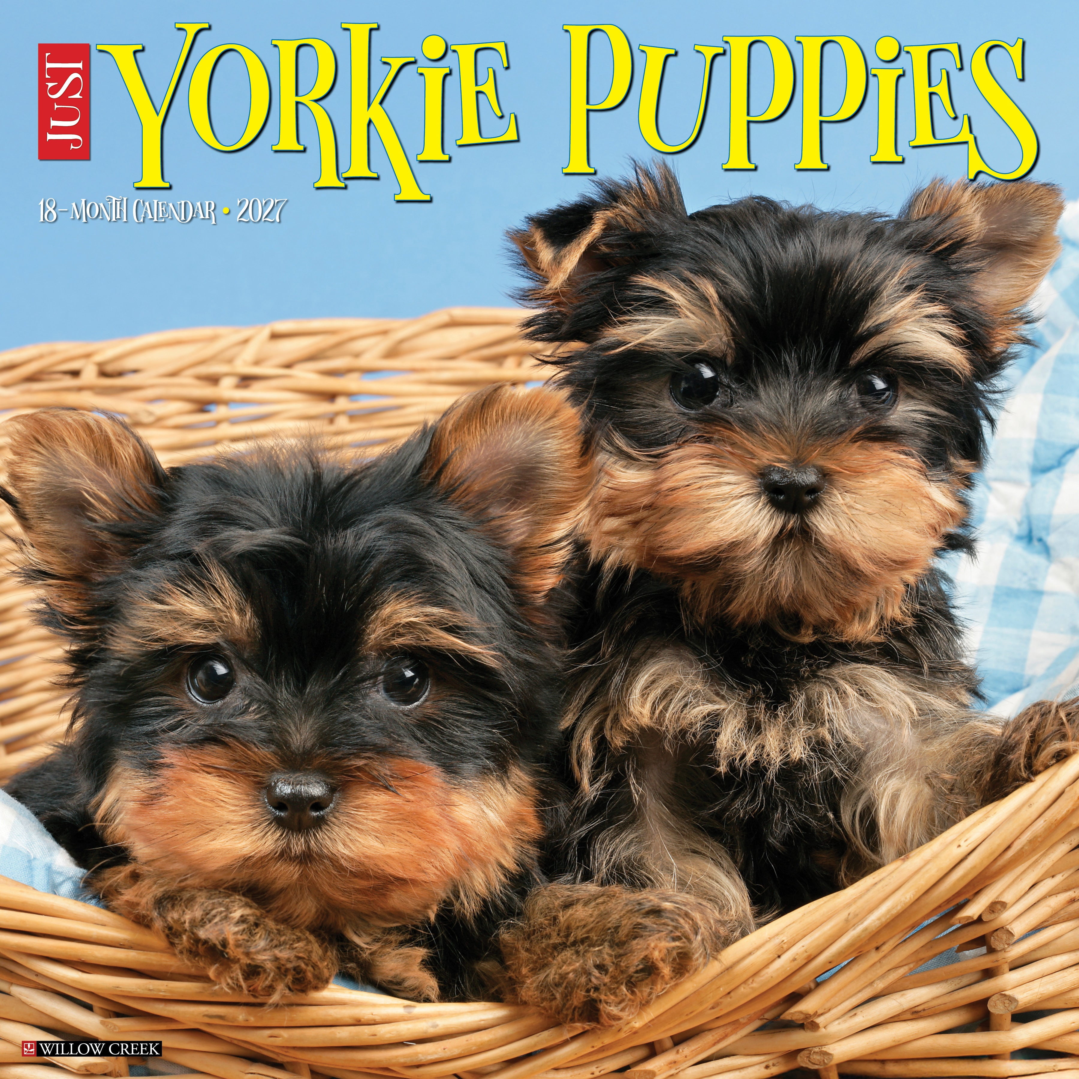 Willow Creek Press, Yorkie Puppies 2027 Wall Calendar