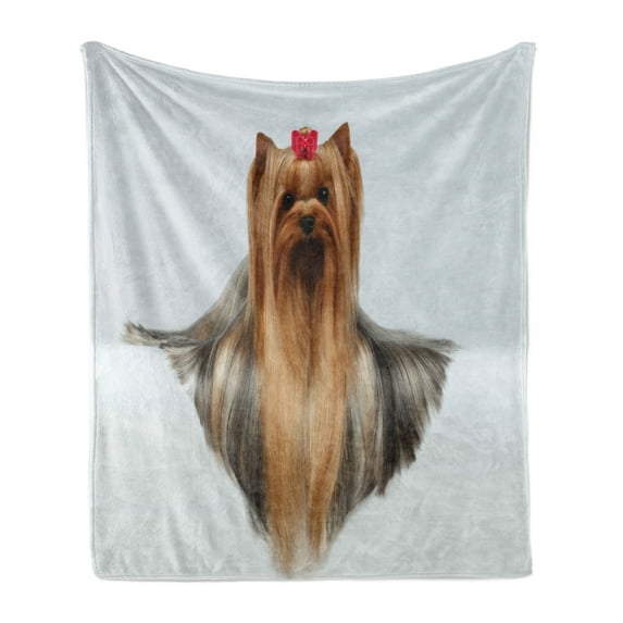Yorkie Soft Flannel Fleece Throw Blanket, Photo of Yorkshire Terrier with Groomed Hair Lying Beside It Yorkie, Cozy Plush for Indoor and Outdoor Use, 50" x 60", Brown White, by Ambesonne