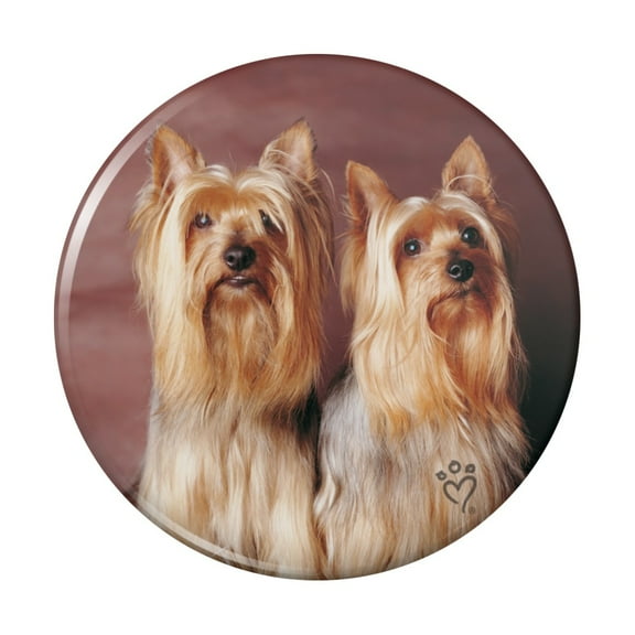 Yorkie Yorkshire Terrier Buddies Kitchen Refrigerator Locker Button Magnet