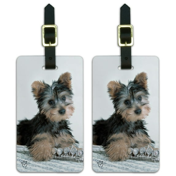 Yorkie Yorkshire Terrier Puppy Dog Musical Instrument Luggage ID Tags Suitcase Carry-On Cards - Set of 2
