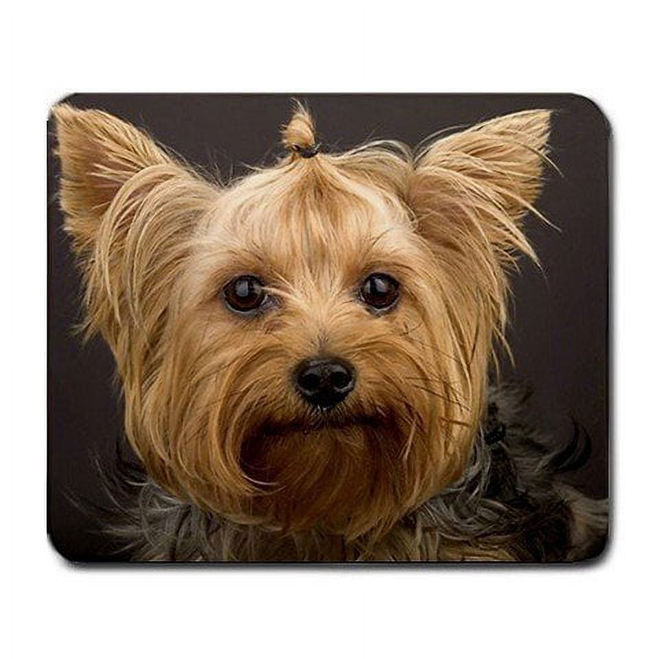 Yorkie puppy Mouse pads Gaming Mouse Pad 9.84x7.87 inches