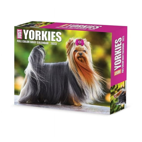 Willow Creek - Full color daily calendar - desktop - 2023 - just yorkies - day to view - 157 x 137 mm - dated