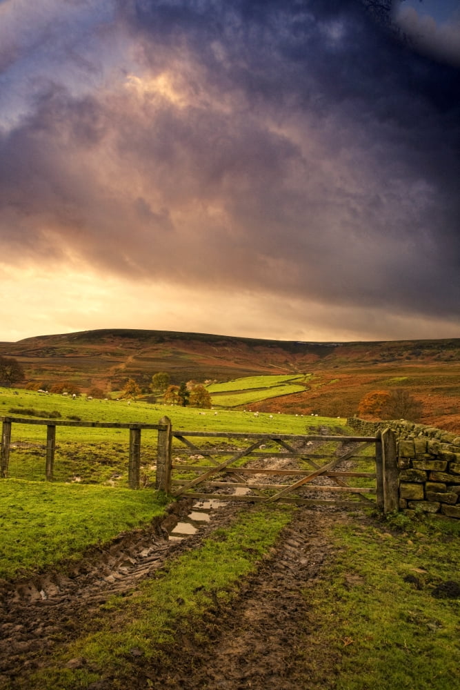 Yorkshire England Canvas Art - John Short Design Pics (12 x 18)