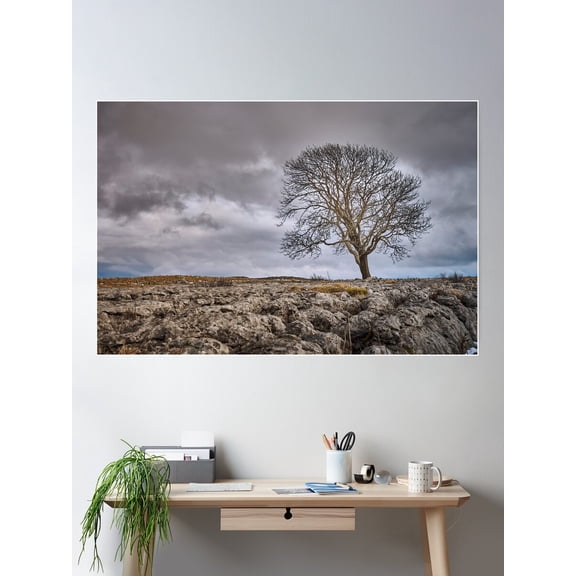 Yorkshire Lone Tree Poster Wall Art, Modern Wall Decor For Living Room Bedroom, 8x12 UNFRAMED