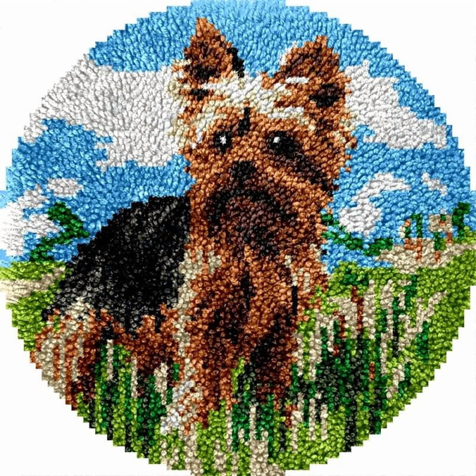 Yorkshire Terrier Round Shape Latch Hook Rug Kits Set for Starter Crochet Hook Cushion Mat Sofa Seat Cushion Crocheting Kits with Preprinted Canvas Crochet Yarn Kits 50X50cm (ui17)