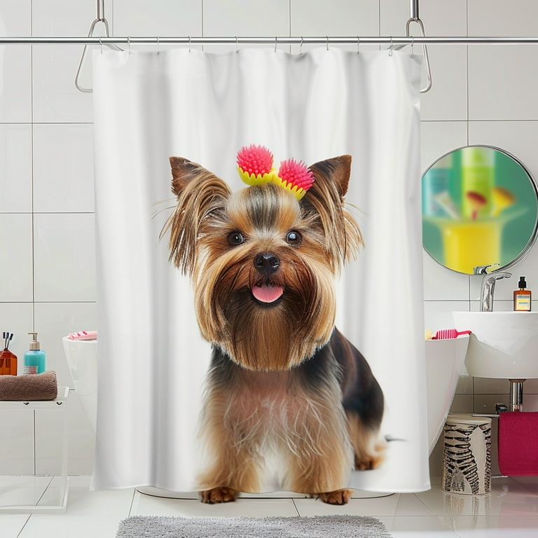 Yorkshire terrier accessories 2025