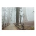 thumbnail image 1 of Yosemite Cutting Board, Evergreen Forest and Walkway in Sequoia National Park Foggy Morning Nature Art, Decorative Tempered Glass Cutting and Serving Board, Large Size, Grey Brown, by Ambesonne, 1 of 1