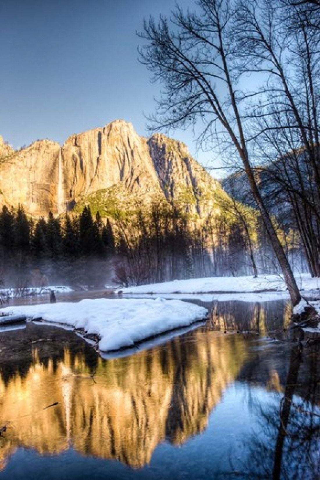 Yosemite Falls reflection in Merced River Yosemite California Canvas Art - Tom Norring DanitaDelimont (25 x 38)