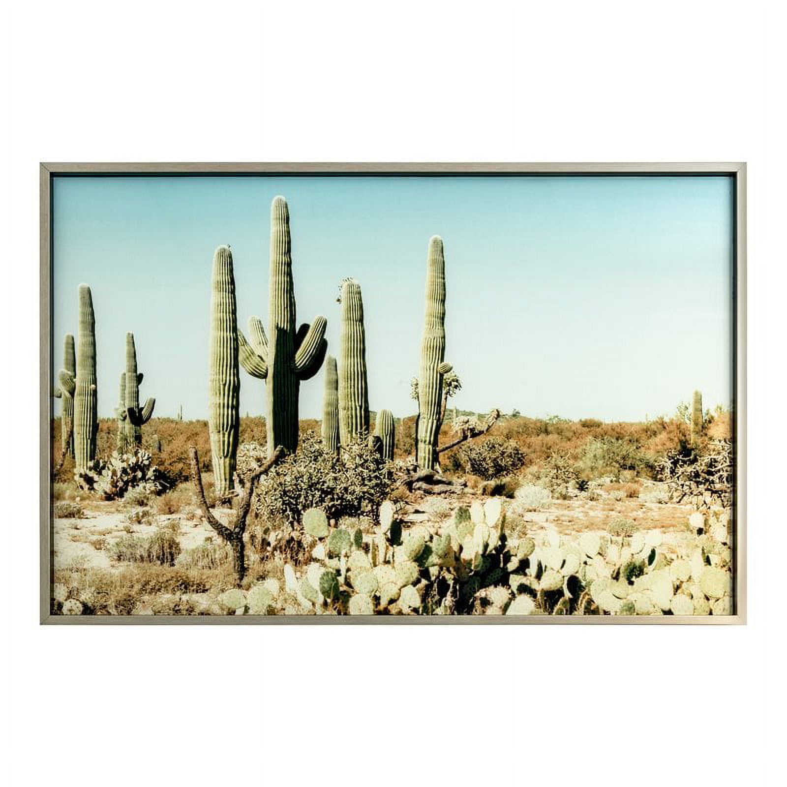 Saguaro Cacti Landscape Framed Glass Wall Art