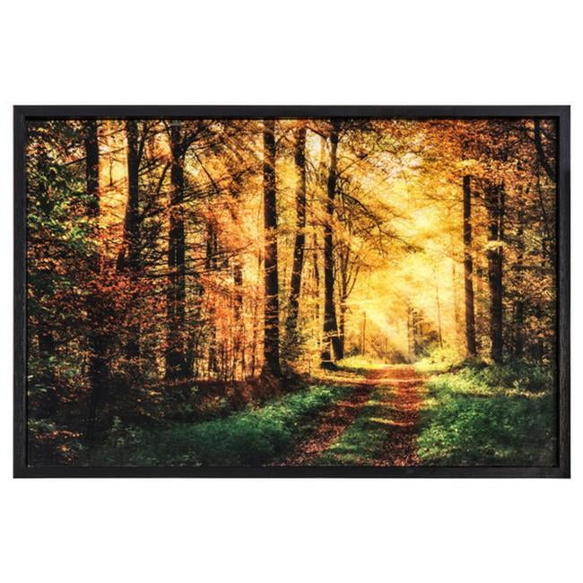 Sunlit Forest Path Framed Glass Landscape Print