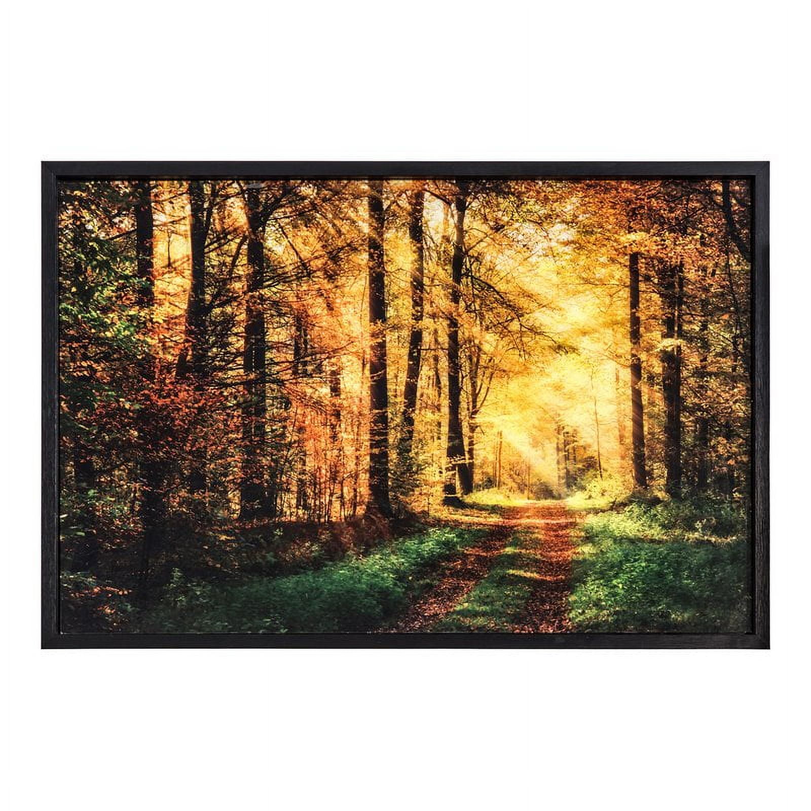 Sunlit Forest Path Framed Glass Landscape Print