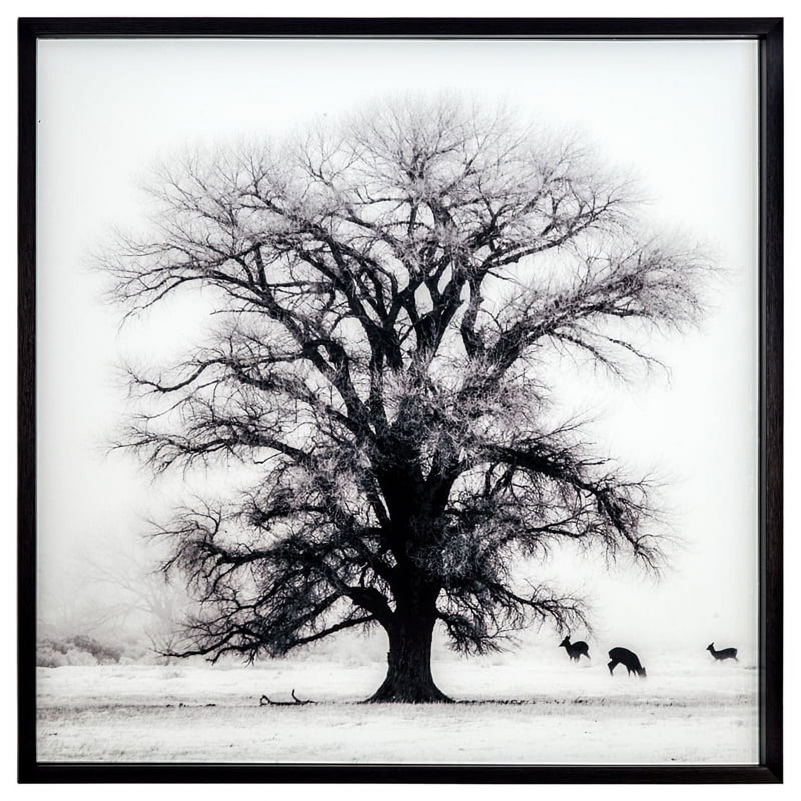 Stoic Tree Woodland Fog 32" Square Wood-Framed Landscape Print