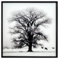 thumbnail image 1 of Yosemite Home Decor "Winters Morning Fog II" Glass Photographic Art in Black, 1 of 5