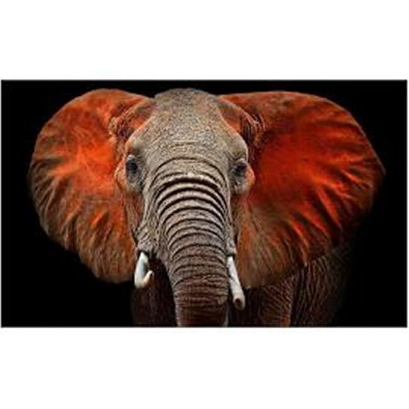 Large Elephant Close-Up Tempered Glass Wall Art
