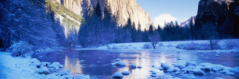 Yosemite National Park California Canvas Art - Panoramic Images (36 x 12)