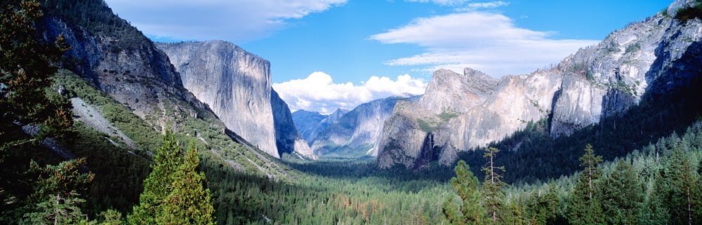 Yosemite National Park California USA Canvas Art - Panoramic Images (36 x 12)