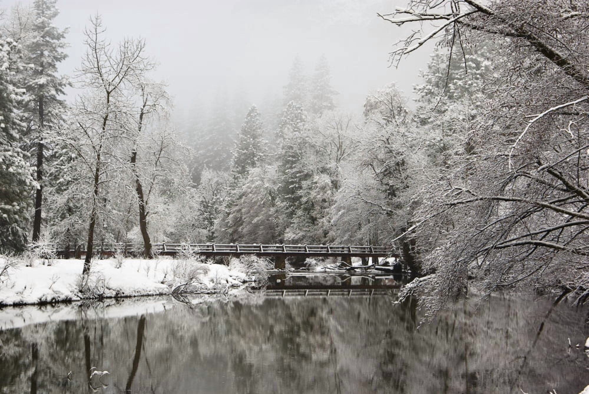 Yosemite National Park California Usa Canvas Art - Robert Brown Design Pics (36 x 24)