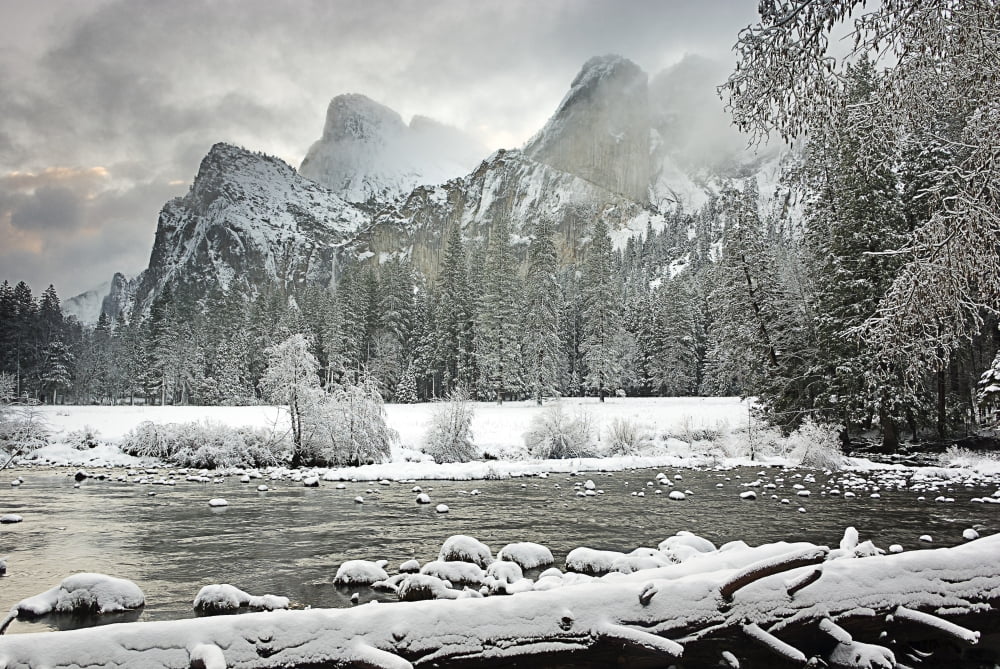 Yosemite National Park California Usa Canvas Art - Robert Brown Design Pics (36 x 24)