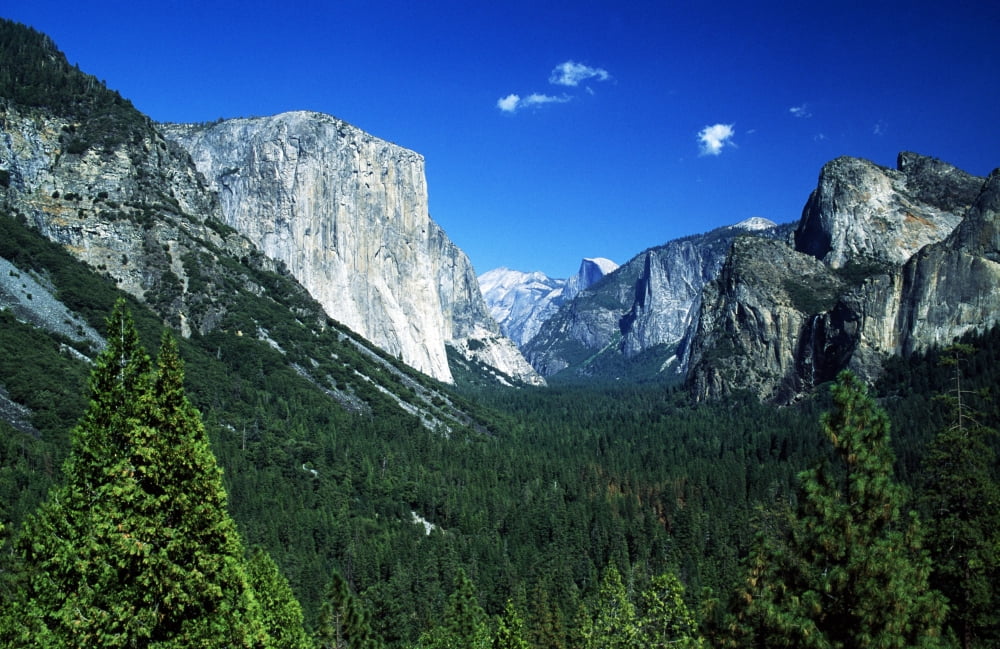 Yosemite National Park Sierra Nevada California Usa Forest And Mountains Canvas Art - John Doornkamp Design Pics (44 x 28)