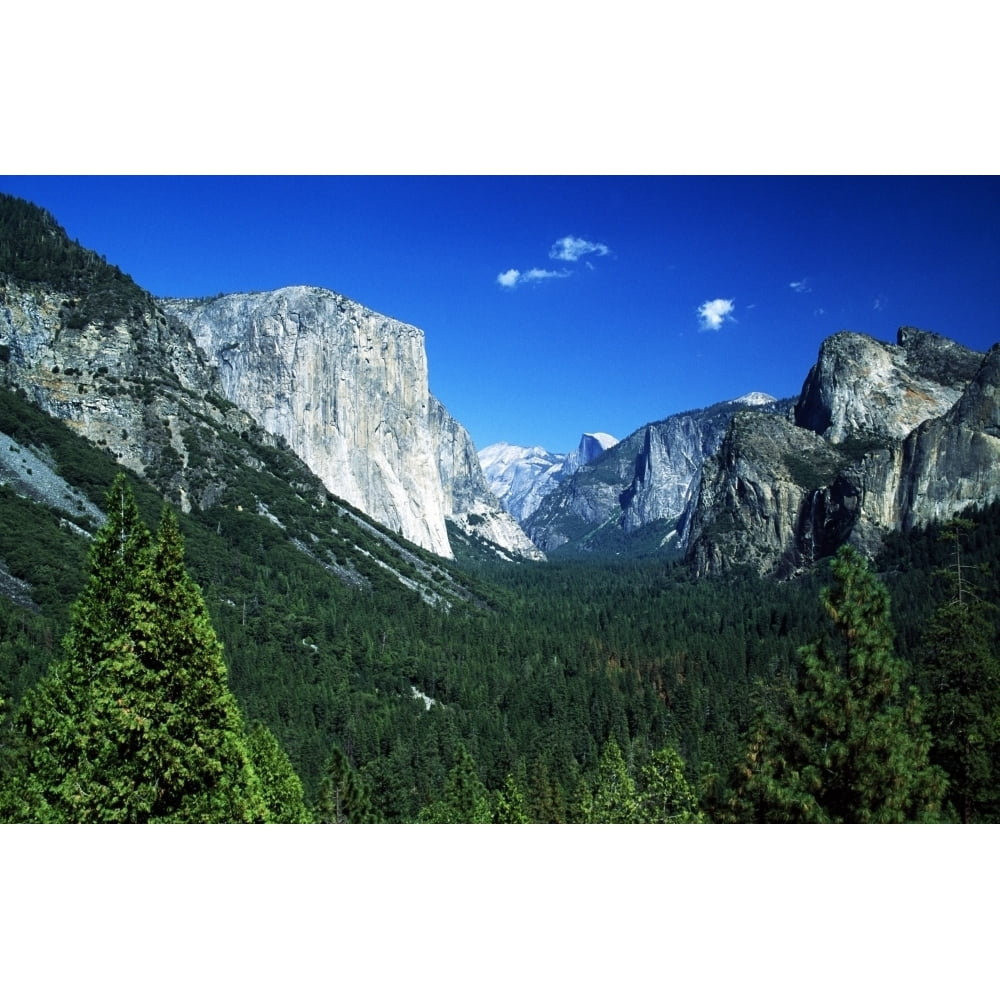 Yosemite National Park Sierra Nevada California Usa; Forest And ...