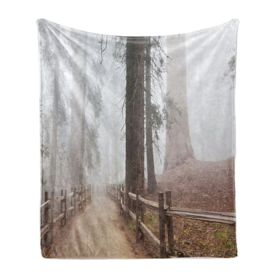 Yosemite Soft Flannel Fleece Throw Blanket, Evergreen Forest and Walkway in Sequoia National Park Foggy Morning Nature Art, Cozy Plush for Indoor and Outdoor Use, 60" x 80", Grey Brown, by Ambesonne