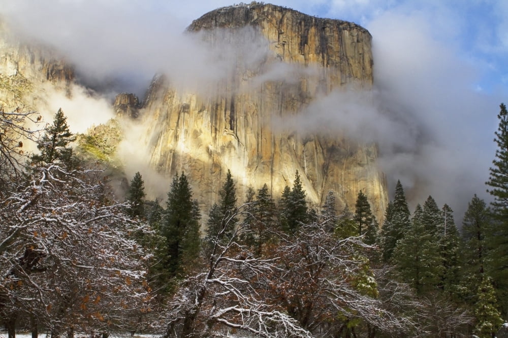 Yosemite national parks el capitan (el cap) peaks through winter storm clouds during a december stormCalifornia united states of america Canvas Art - Tracy Barbutes Design Pics (19 x 12)