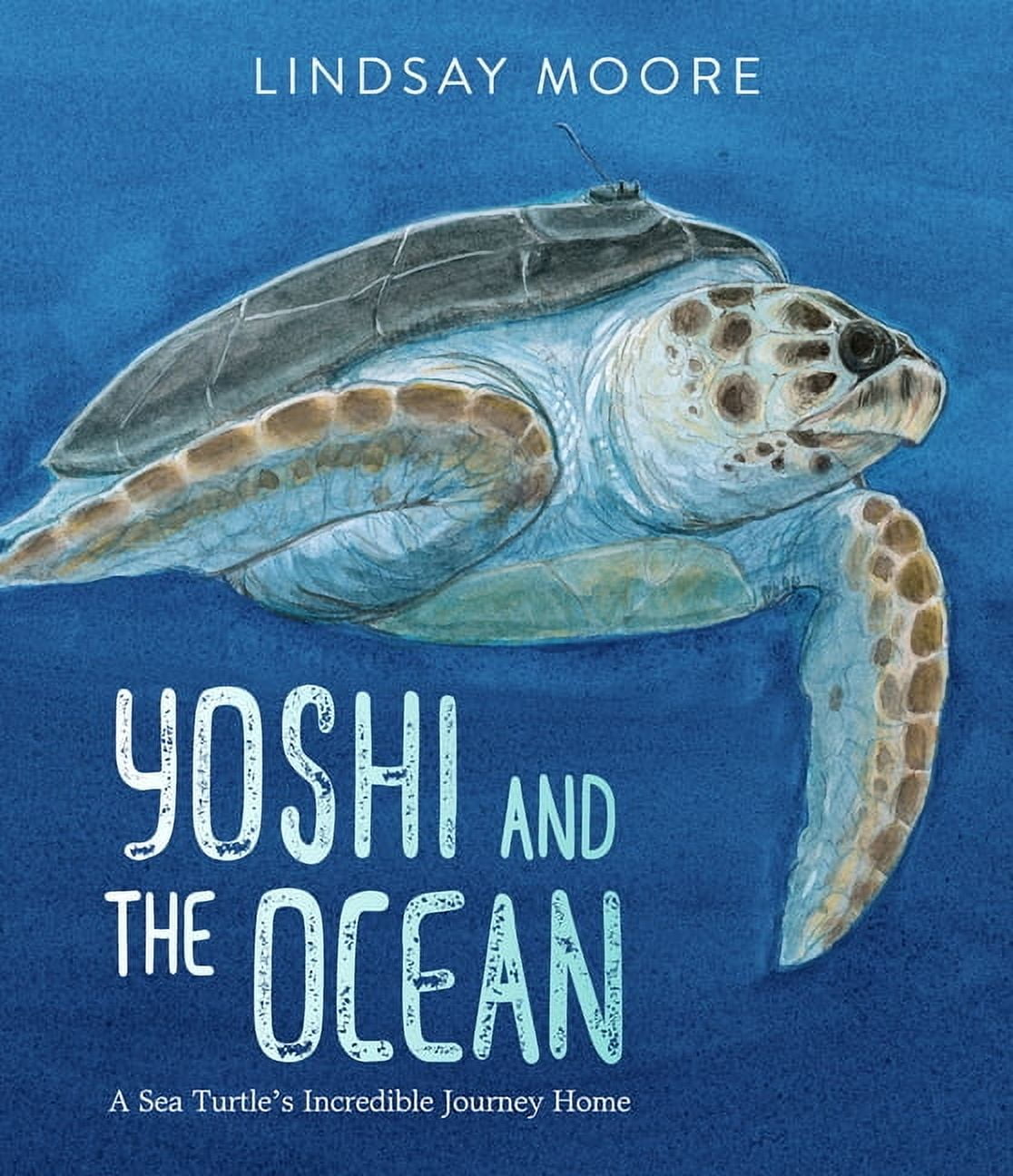 Yoshi and the Ocean Hardcover Kids' Non-fiction Book