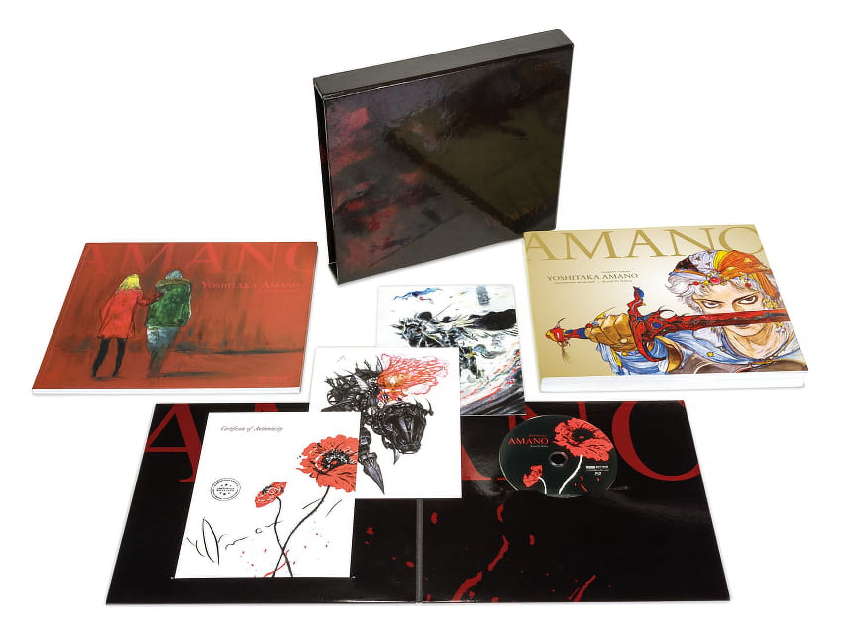 Yoshitaka Amano: The Illustrated Biography Beyond the Fantasy Limited