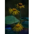 thumbnail image 1 of You: A collection, (Paperback), 1 of 1
