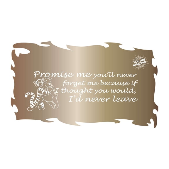 You Are Amazing Promise me you'll never forget me Quote Watercolor Design Wall Art Sticker Designs Vinyl Stickers For Home House Walls Rooms Windows Bedroom Decoration Size (12x12 inch)