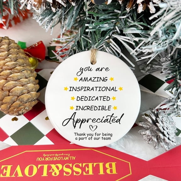 You Are Appreciated Ornament, Employee Appreciation Gift, Thank You Keepsake, Customizable Ceramic Ornament