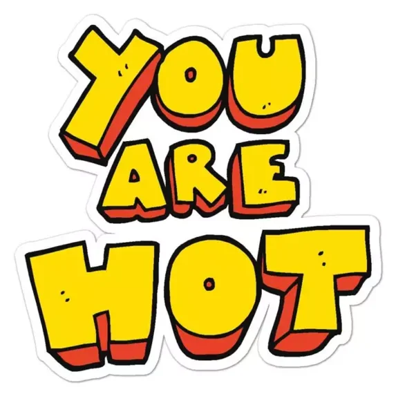 You Are Hot Sticker Indoor Outdoor Phone Decal Water Bottle Stickers ...
