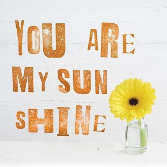 You Are My Sun Shine Canvas Art - Howard Shooter (24 x 24)
