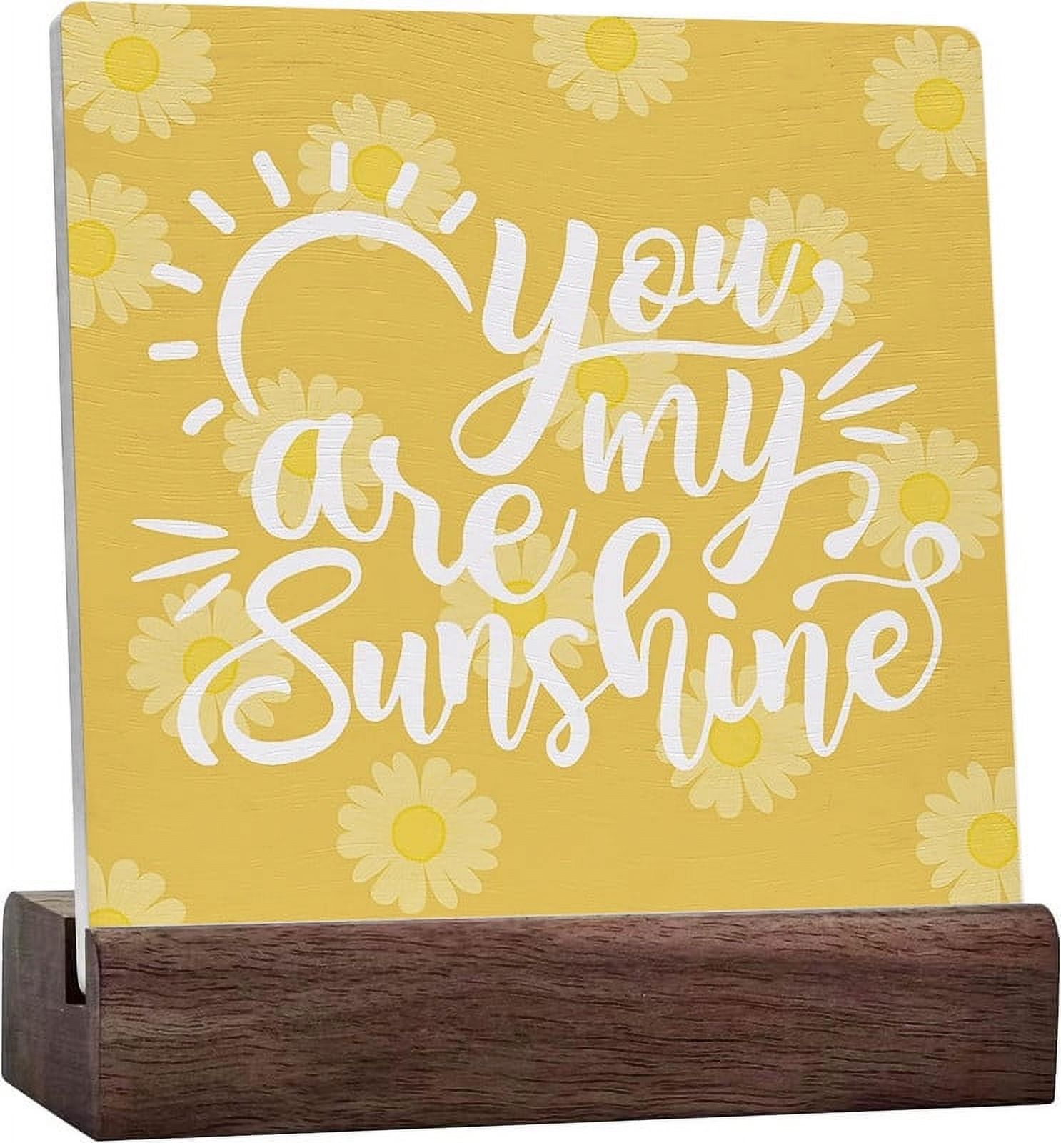 Human Sunshine Acrylic Desk Sign - Motivational Decor For Office, Shelf, Farmhouse, 5x5 Inches With Stand