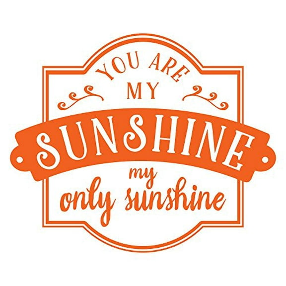 You Are My Sunshine Quotes For The Home Wall Art Sticker Decals, 23 x 19 , Orange
