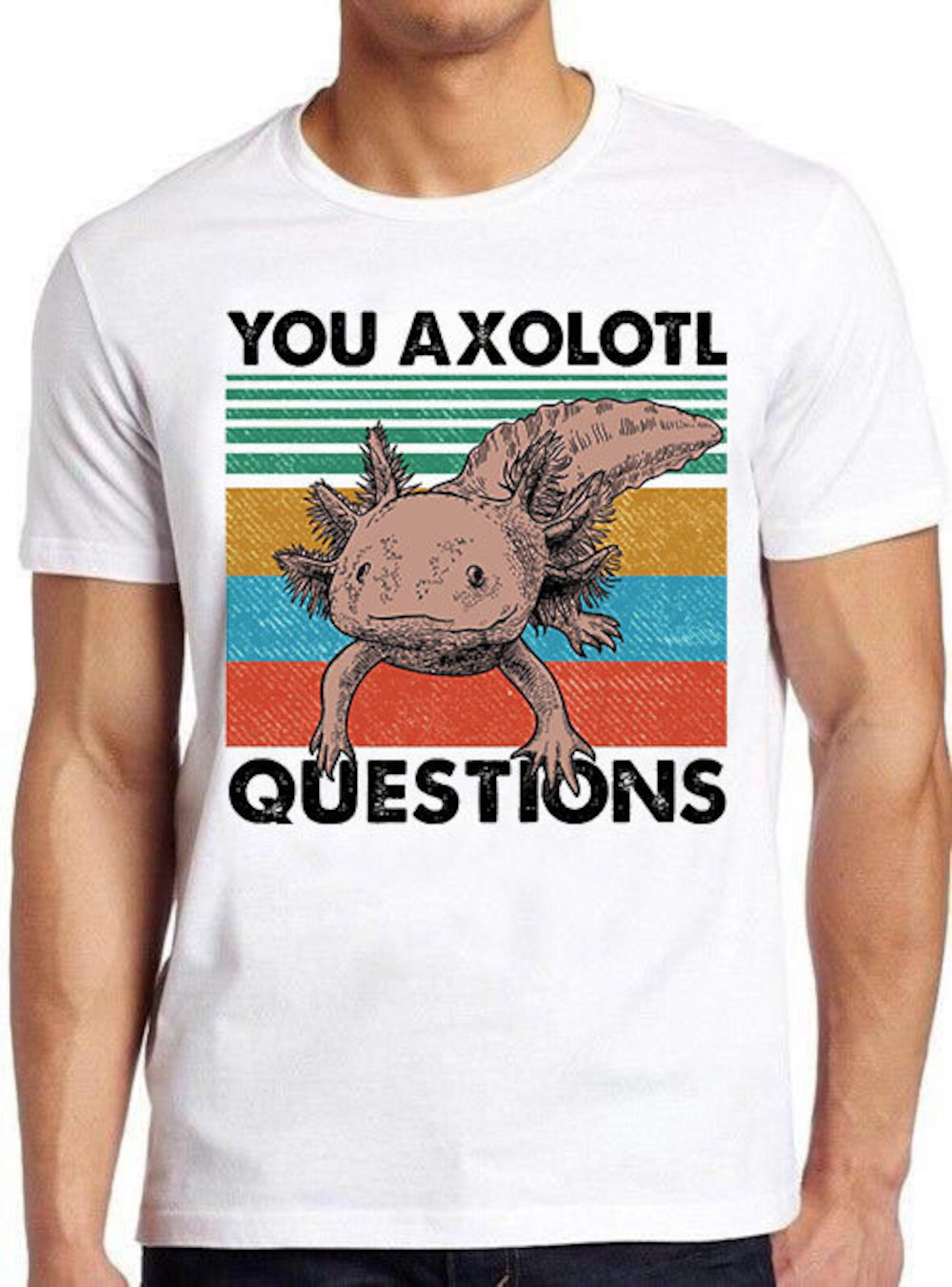 You Axolotl Questions Ambystoma Mexicanum Mexican Walking Fish Gaming ...