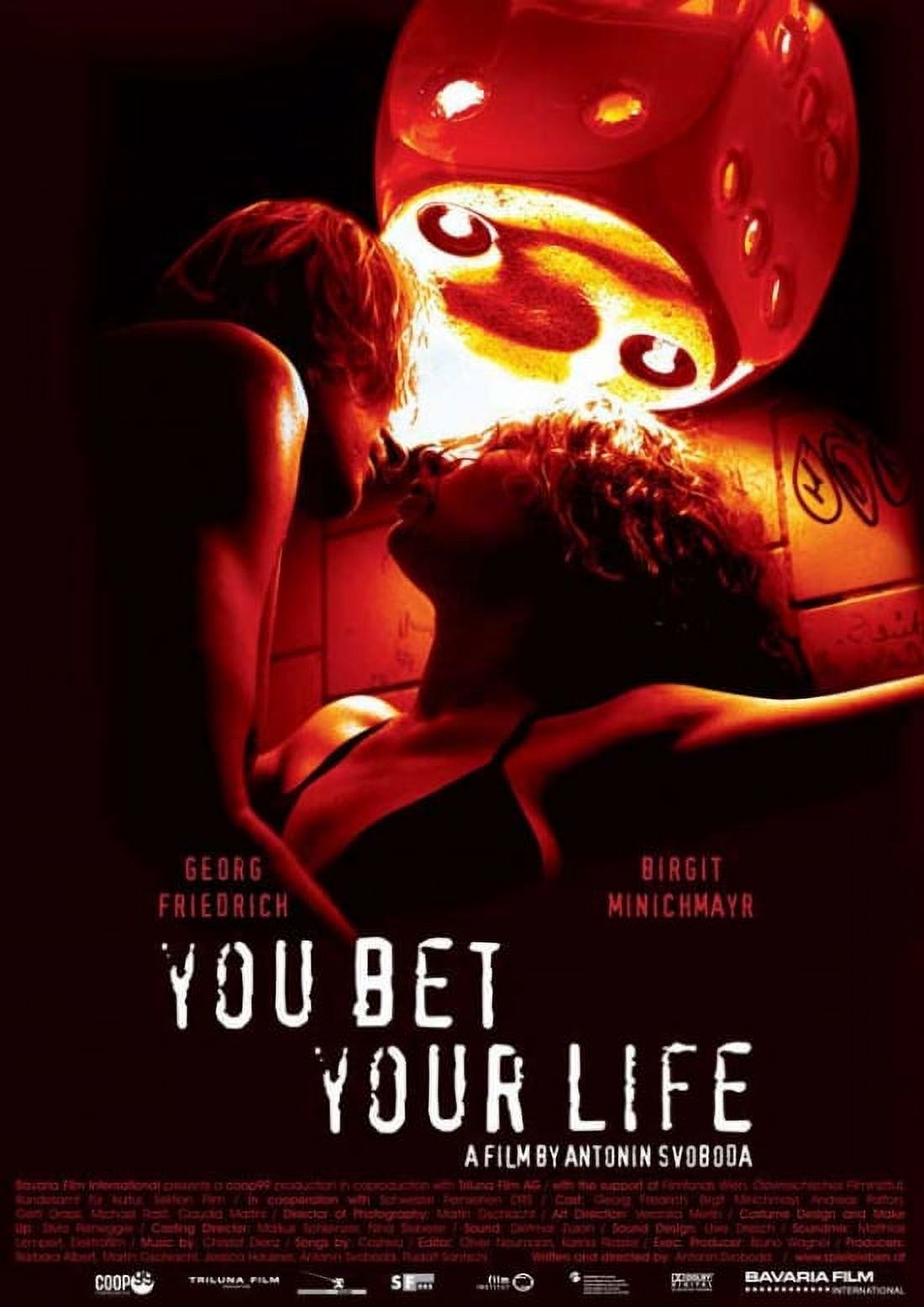You Bet Your Life Movie Poster (11 x 17)