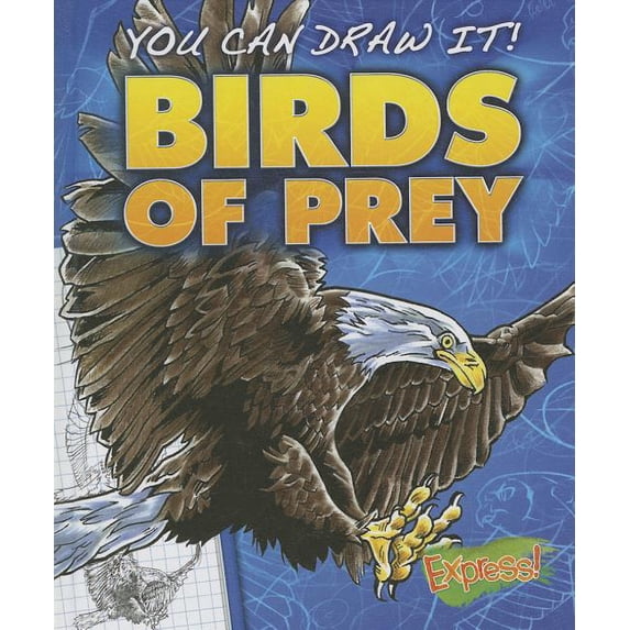 You Can Draw It!: Birds of Prey (Hardcover)
