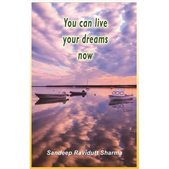 You Can Live Your Dreams Now: Nothing Can Stop You from Achieving Success If You Have Self-Belief (Paperback)