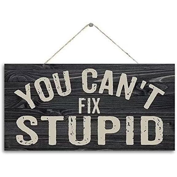 You Can't Fix Stupid Wood Sign for Home Wall Decor Funny Wall Hanging Sign Man Cave Home Counter Art Everyday Wisdom