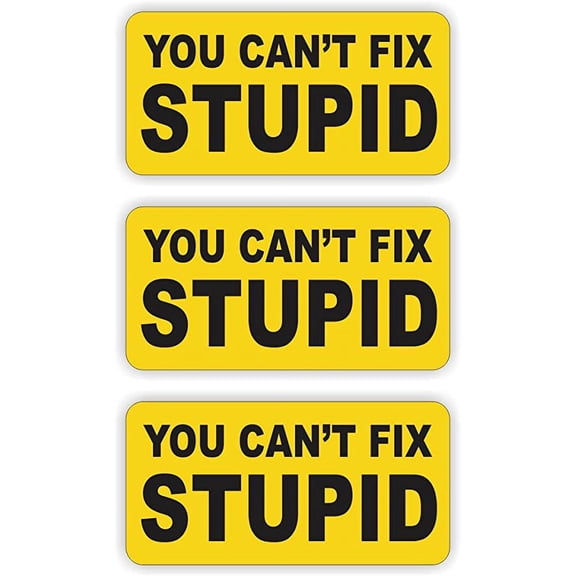 You Cant Fix Stupid Hard Hat Sticker | Decal Label Tool Lunch Box Helmet | Size: 1"x2" | Set of 3 Stickers!
