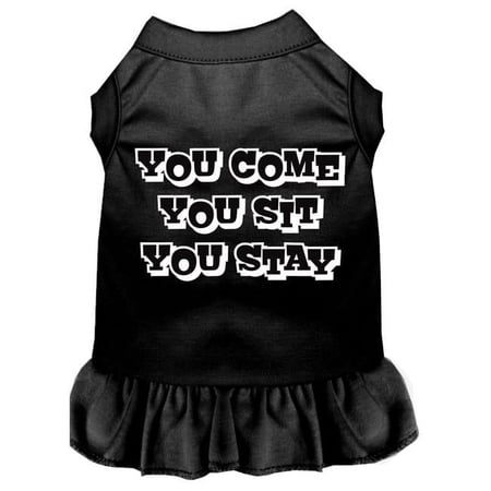 You Come, You Sit, You Stay Screen Print Dress, Black - Extra Large