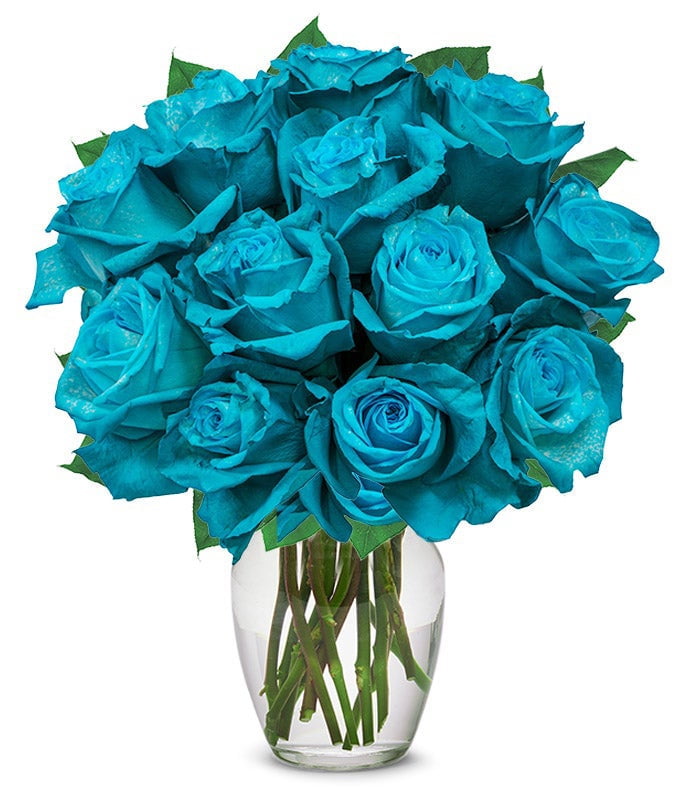 From You Flowers - One Dozen Teal Roses in Clear Glass Vase for Birthday, Anniversary, Get Well, Congratulations, Thank You, All Occasions