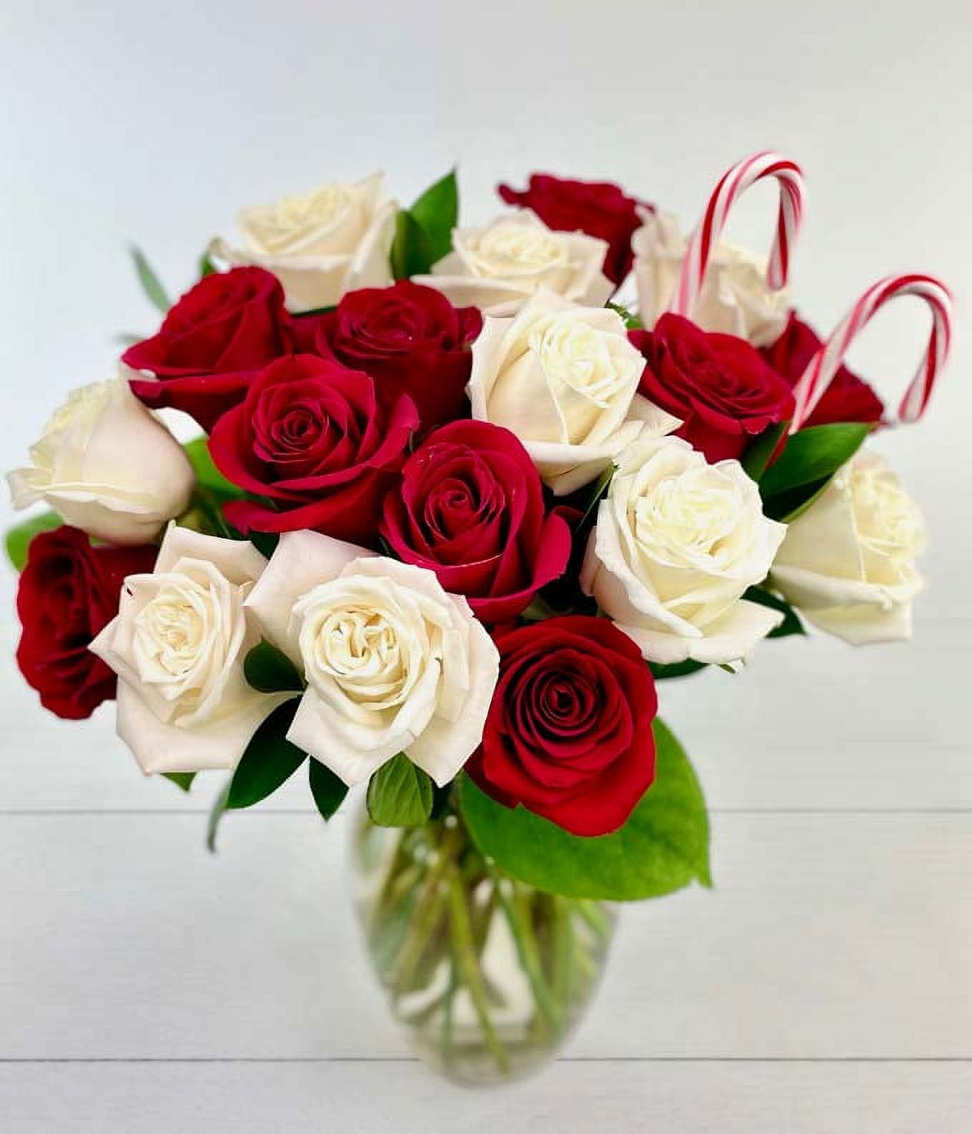 From You Flowers - One and a Half Dozen Red & White Candy Cane Roses with Clear Glass Vase for Birthday, Anniversary, Get Well, Congratulations, Thank You, All Occasions