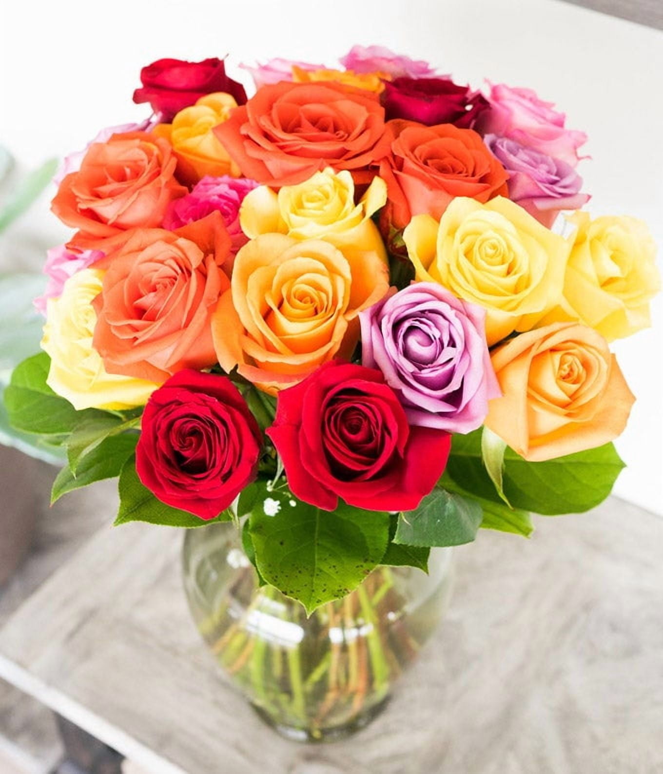 From You Flowers - Two Dozen Assorted Rainbow Roses in a Clear Glass Vase for Birthday, Anniversary, Get Well, Congratulations, Thank You, All Occasions