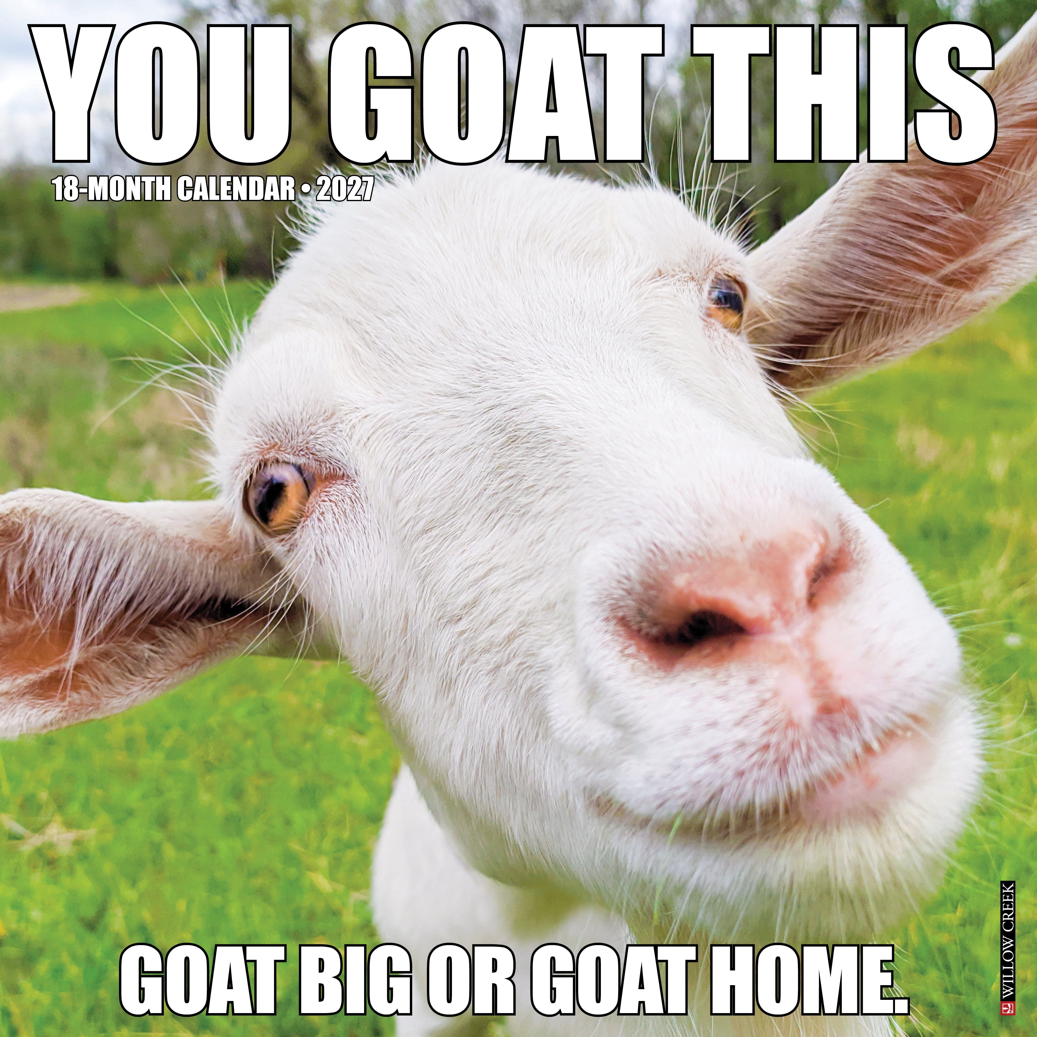 Willow Creek Press, You Goat This 2027 Wall Calendar