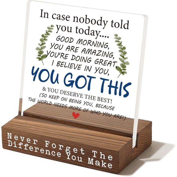 You Got This Motivational Desk Sign, Encouragement Gift for Coworker Friend Teacher Nurse, Inspirational Office Table Decor for Women Men, Uplifting Quote Plaque for Appreciation Birthday EC326