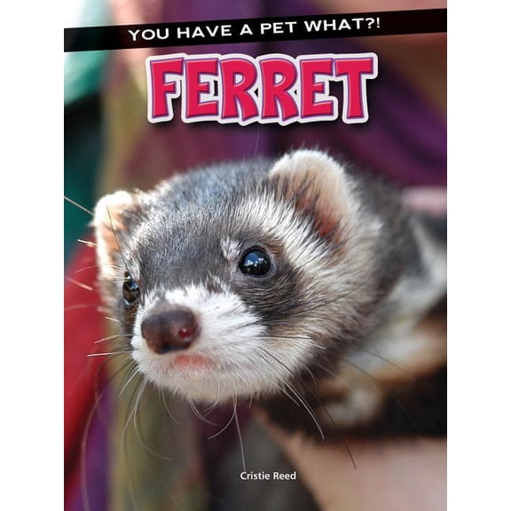 Pre-Owned You Have a Pet What?!: Ferret (Paperback)